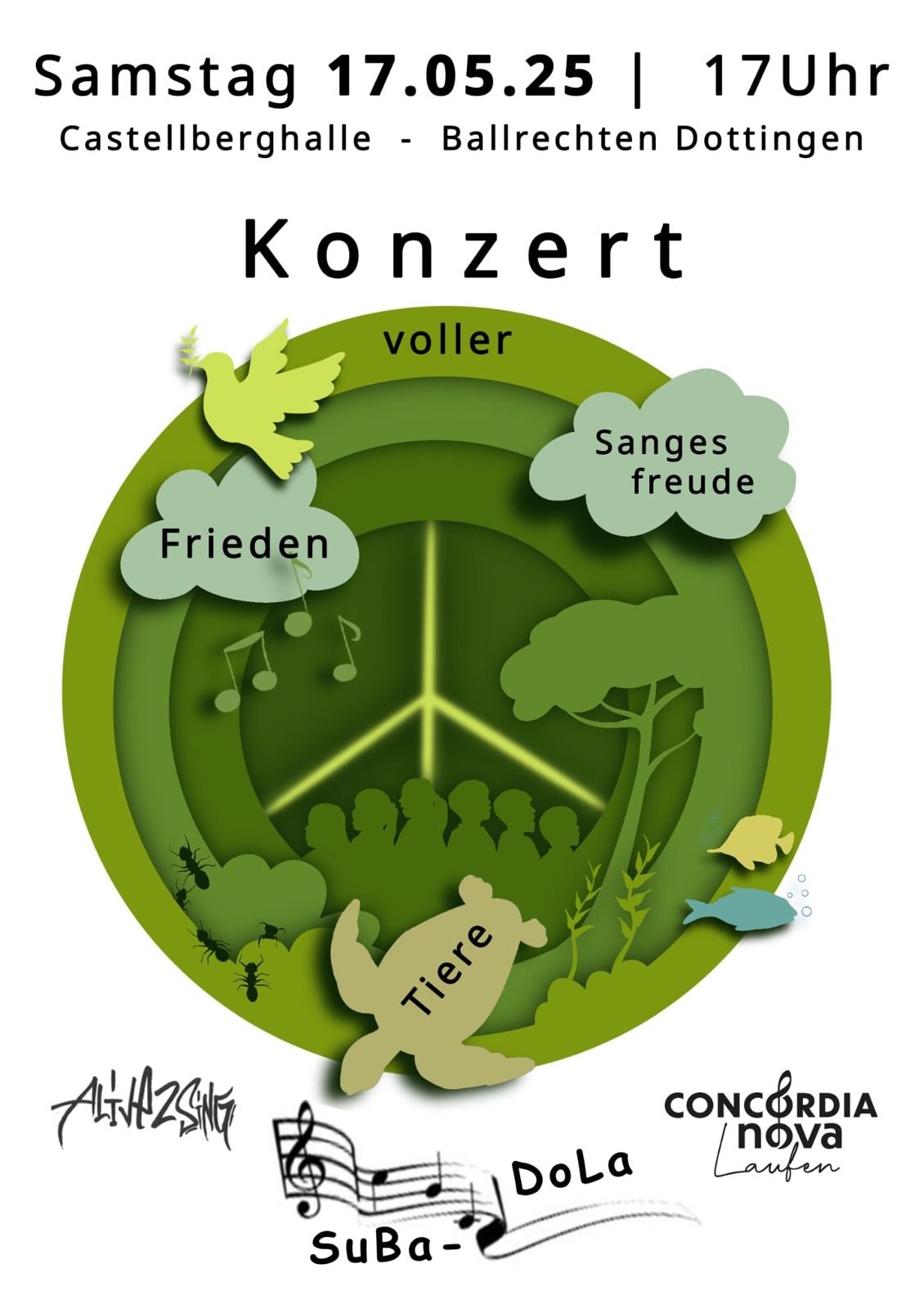 Konzert-Plakat SuBaDoLa